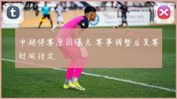 中超停赛原因曝光 赛事调整后复赛时间待定