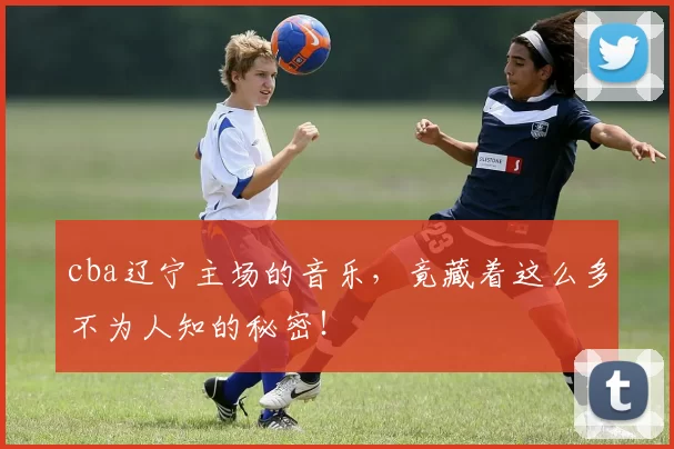 cba辽宁主场的音乐,竟藏着这么多不为人知的秘密!