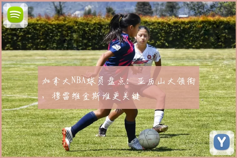 加拿大NBA球员盘点：亚历山大领衔，穆雷维金斯谁更关键